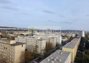 DCIM103MEDIADJI_0204.JPG