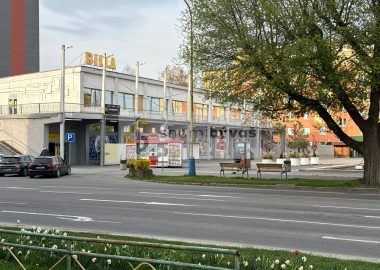 56