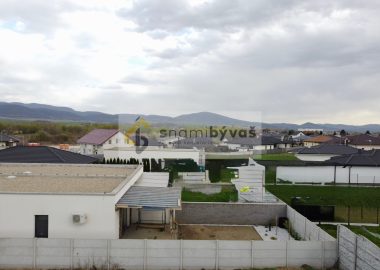 DCIM102MEDIADJI_0597.JPG