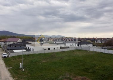 DCIM102MEDIADJI_0586.JPG